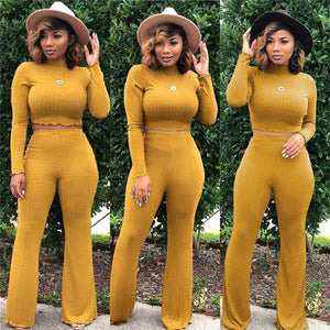 Fall Clothing 2 Piece Set Women Long Sleeve Top and Pants Set Lounge Wear Tracksuit Sets Womens Outfits Wholesale Dropshipping